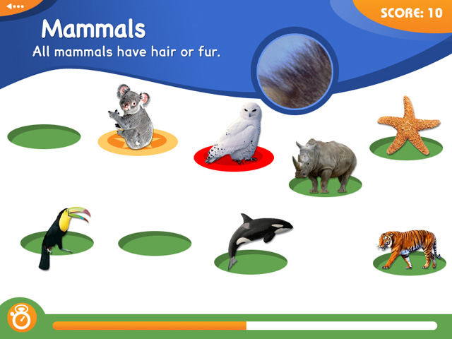 Animal Genius game screenshot - 1