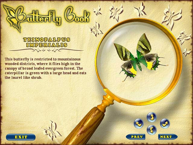 Butterfly Escape game screenshot - 2
