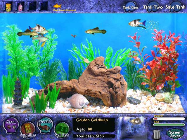 Fish Tycoon game screenshot - 1