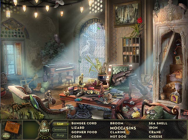 Hidden Expedition: Amazon game screenshot - 3