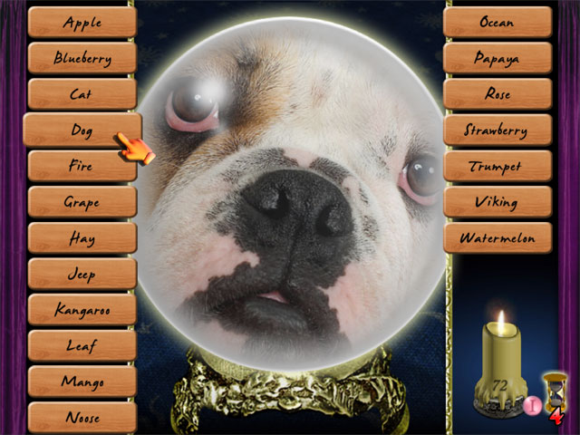 Lost Fortunes game screenshot - 2