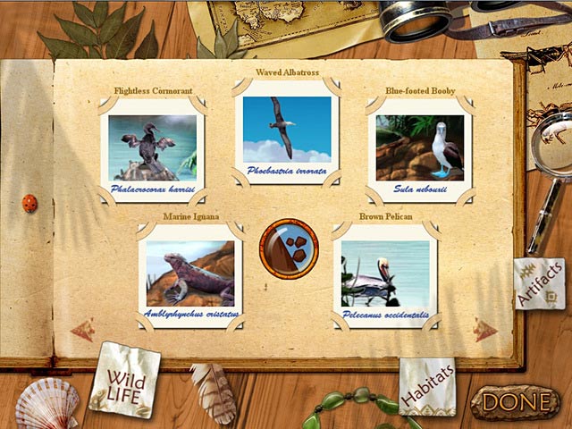 Paradise Quest game screenshot - 3