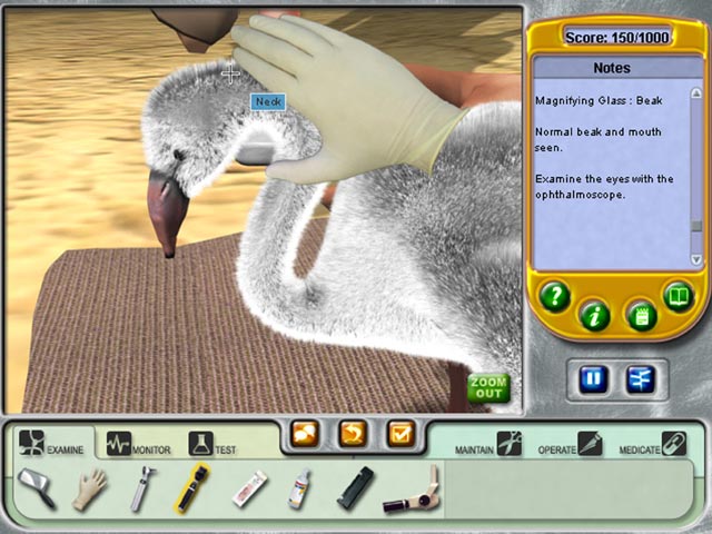 Zoo Vet game screenshot - 2