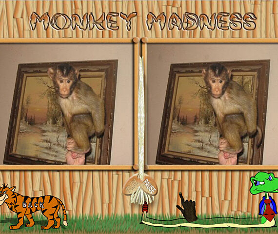 Monkey Mania