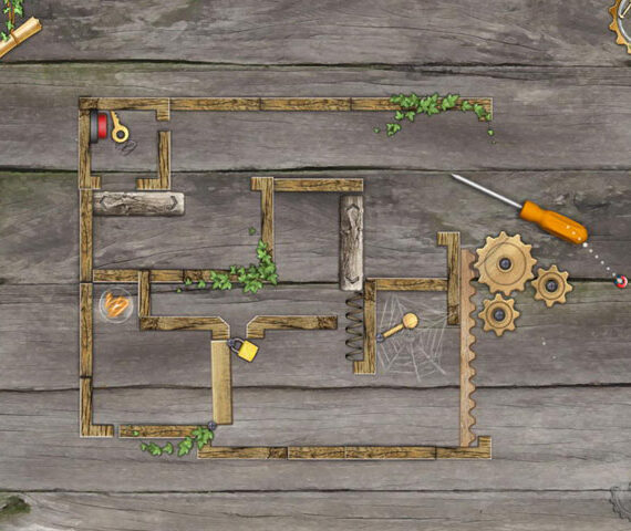 A Magnetic Adventure