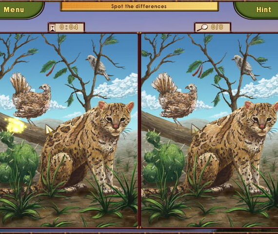 World Riddles: Animals