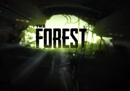 The Forest