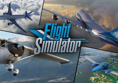 Microsoft Flight Simulator